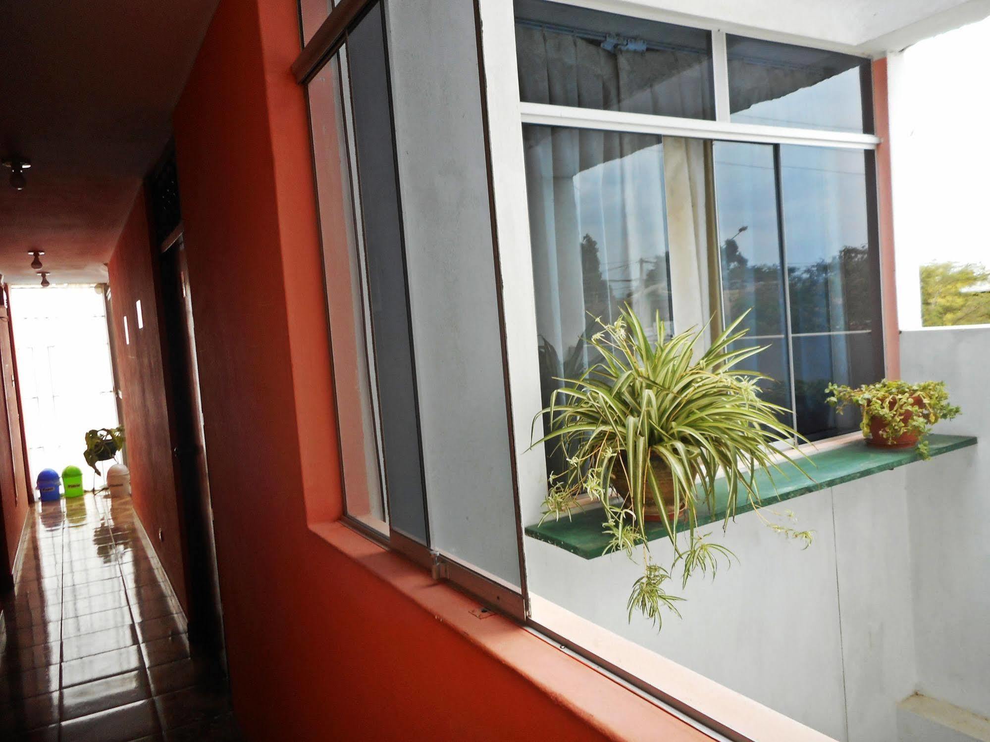 Hostal Geminis San Juan Bautista ภายนอก รูปภาพ